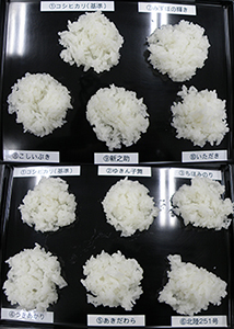 新潟県の食味審査会