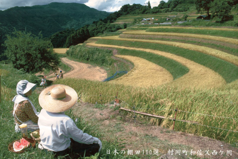 真空加工＞但馬堆肥米「とろかわの恋」（但馬村岡米） | 玄米屋 ウエトミ